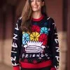 BigWan Apparel Co. Friends Holiday Sweater For Adults