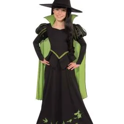 Rubies Costume Co. Inc Kids Wicked Witch Of The West Costume