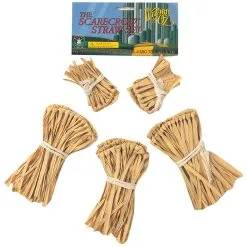 Rubies Costume Co. Inc Five-Piece Scarecrow Straw Kit