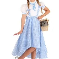 Shangai Jianwuyi Industrial & Commercial Ltd. Hi-Lo Gingham Dress Kansas Girl Costume For Girls