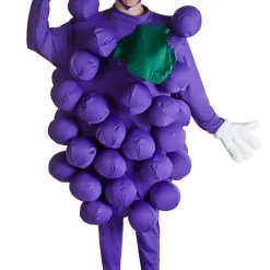 Fun Costumes Purple Grapes Costume