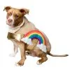 Pet Krewe Rainbow Costume For Pets