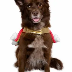 Pet Krewe Rainbow Costume For Pets -wizard of oz costume shop rainbow pet costume alt 4