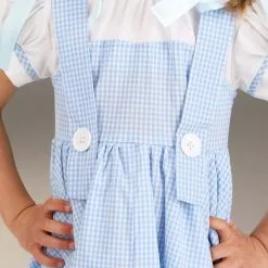 Fun Costumes Deluxe Kansas Girl Toddler Costume -wizard of oz costume shop toddler deluxe kansas girl costume alt 3