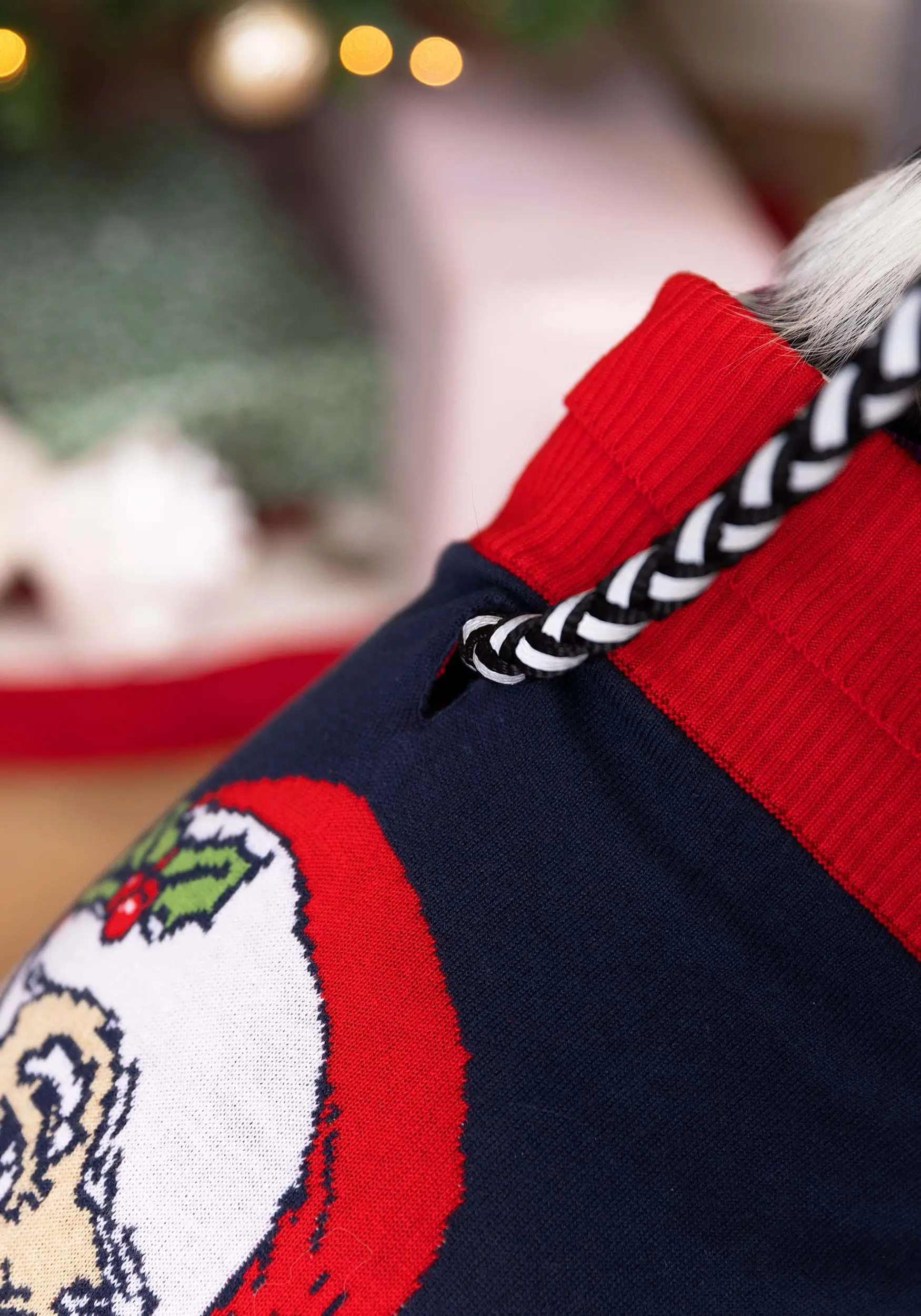 BigWan Apparel Co. Vintage Santa Christmas Sweater For Dogs 6 BigWan Apparel Co. Vintage Santa Christmas Sweater For Dogs - Image 6