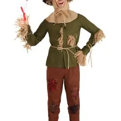 Jerry Leigh Wizard Of Oz Scarecrow Costume Plus Size