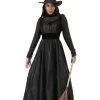 Fun Costumes Adult Deluxe Dark Witch Costume