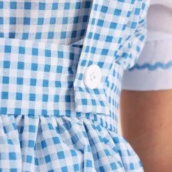 Fun Costumes Kansas Girl Long Dress Womens Costume -wizard of oz costume shop womens long dorothy dress alt 4