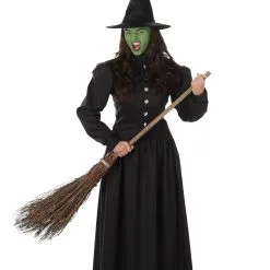 Karnival Costumes Wicked Witch Costume For Women